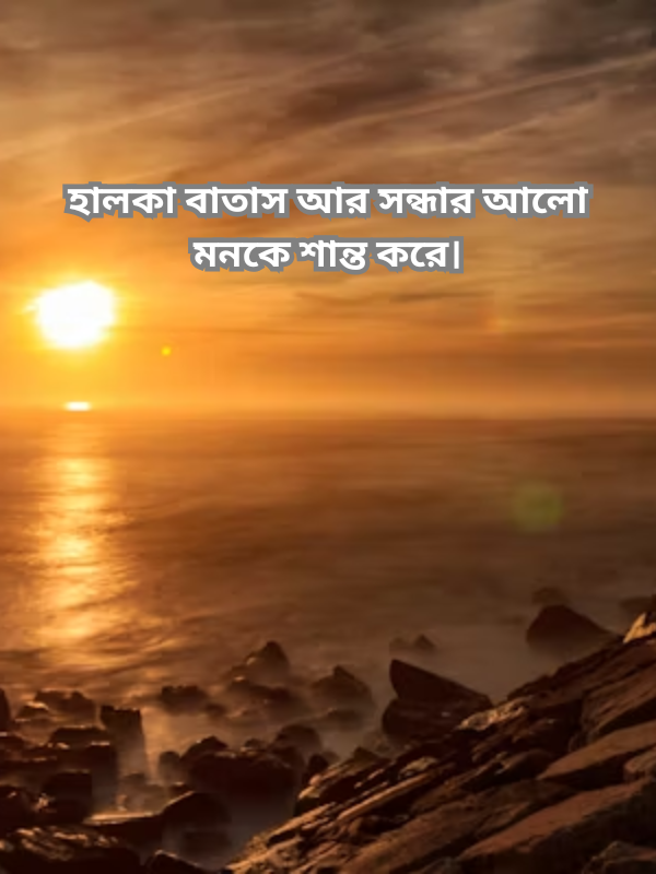 হালকা বাতাস আর সন্ধার আলো মনকে শান্ত করে।.png