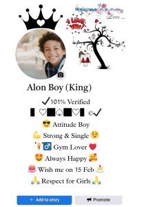 facebook stylish bio boy