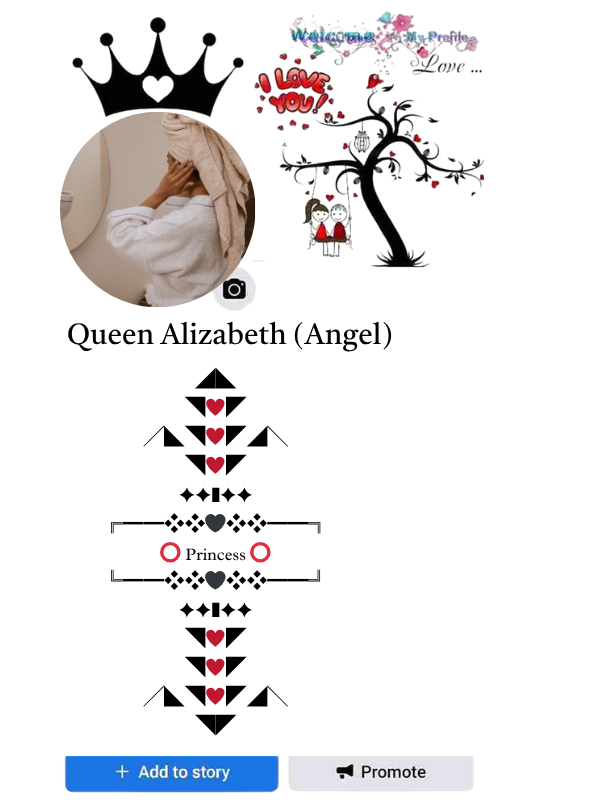 facebook stylish bio english