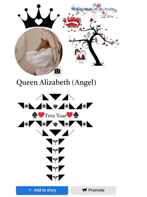 facebook stylish bio text